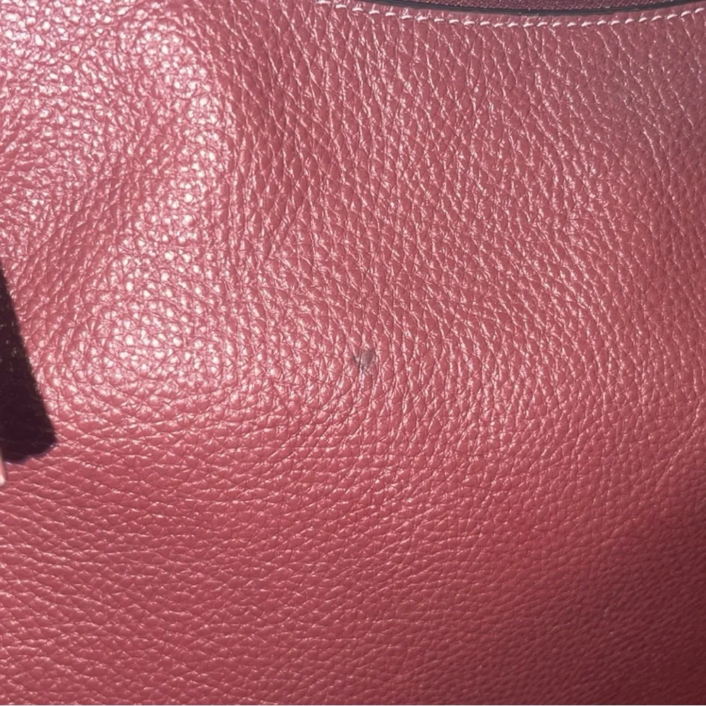 Coach Jules Burgundy Snake Print Leather Hobo Bag
